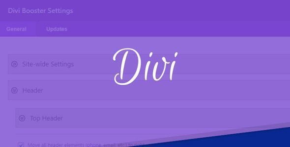 Divi Booster