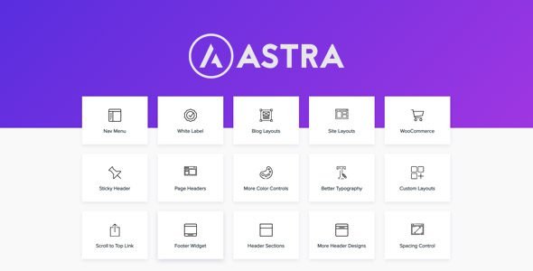 astra pro addon 414 wordpess theme for any website