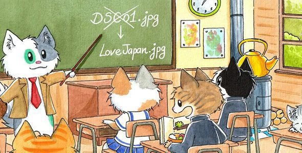 media file renamer pro 561