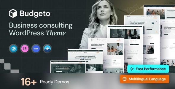 budgeto 1 0 7 business consulting wordpress theme