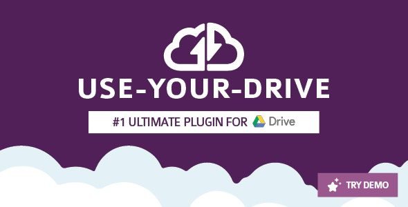 use your drive 3 7 2 google drive plugin for wordpress